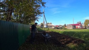 Убираю кочки на газоне перед домом, выселяем ворон с участка