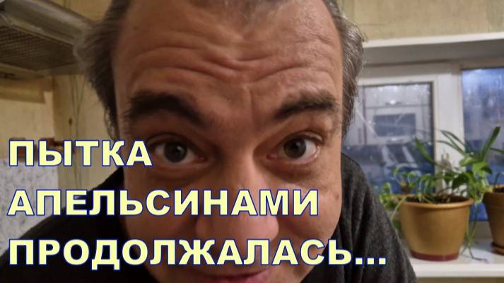 ПЫТКА АПЕЛЬСИНАМИ ПРОДОЛЖАЛАСЬ 🤪🤪