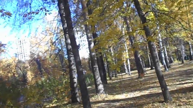 Сорока-белобока:) смотреть онлайн