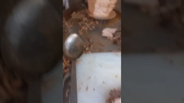 Самый популярный шаверма в Таджикистана. Говядина#shorts смотреть онлайн