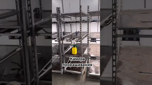 Экскурсия на производство «Цветы Доброграда» в Доброграде смотреть онлайн
