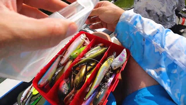 Возвращение с воблерами на малую реку