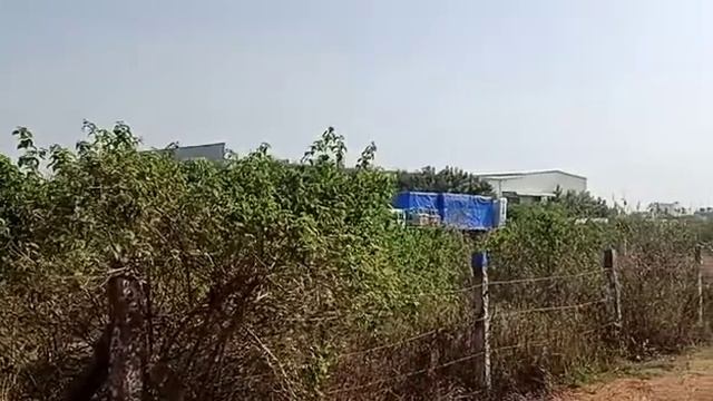 #openplots for sale in BONGLOOR ibrahimpatnam RR Dist All details in Discription смотреть онлайн