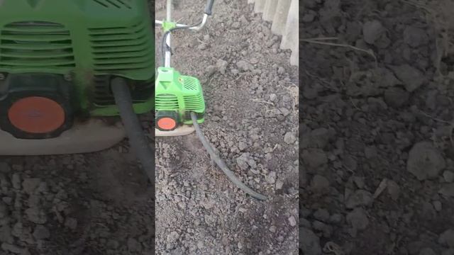 Как избавиться от кротов на участке смотреть онлайн
