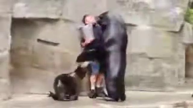 Обнемашки. Нужны. Всем смотреть онлайн