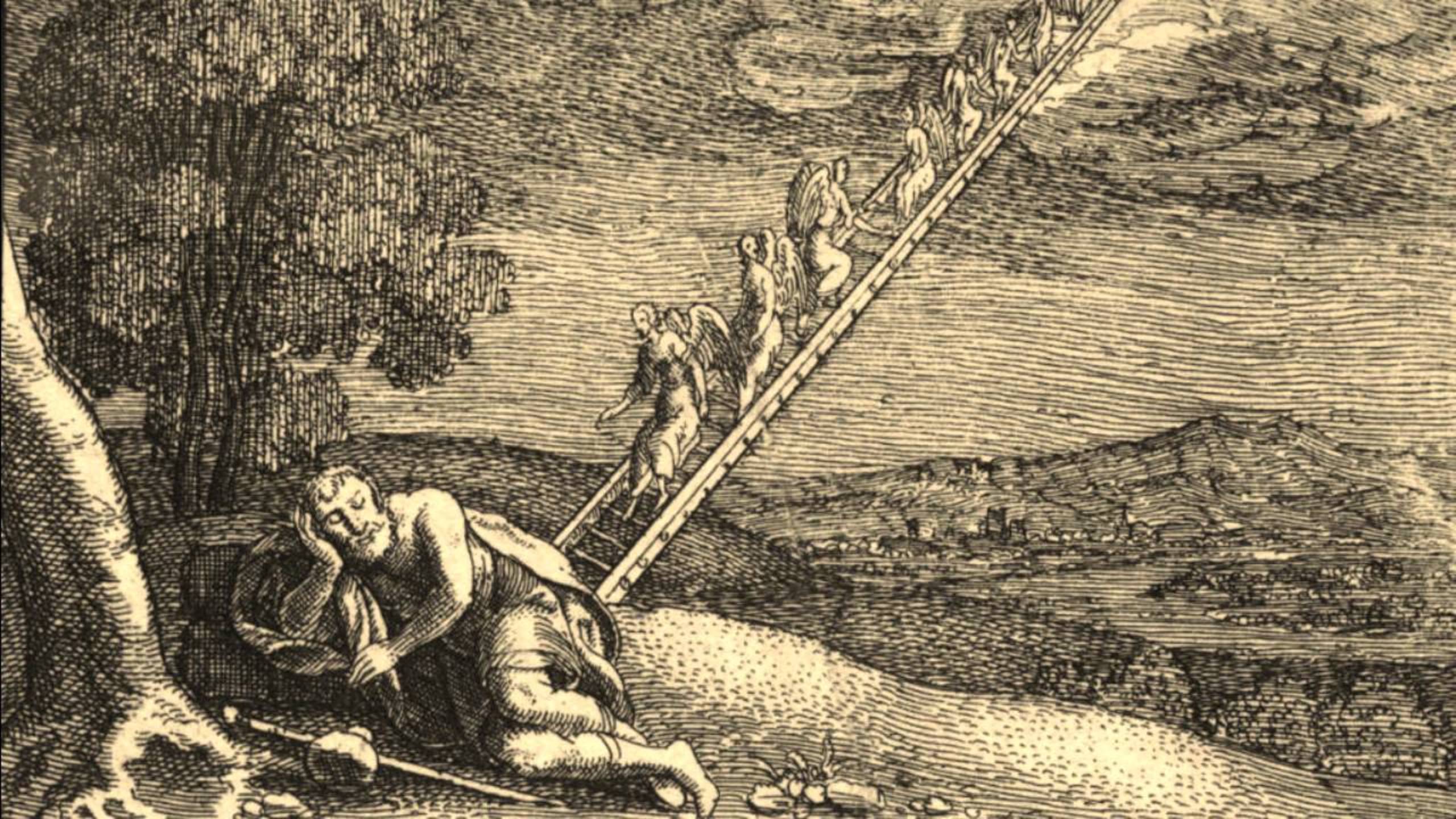 Что вообще происходит? Ответ на самый универсальный вопрос #хаос #таро #реальность #наука