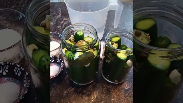 Соленые огурцы без стерилизации. Pickled cucumbers without sterilization. смотреть онлайн