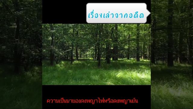 เรื่องเล่าจากอดีต ดงพญาไฟหรือดงพญาเย็น смотреть онлайн