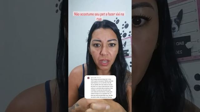 Cachorro com infecção urinária смотреть онлайн