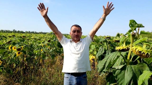 Равшан ва Зокир - Ба сафари туй ба Шахри Оренбург смотреть онлайн