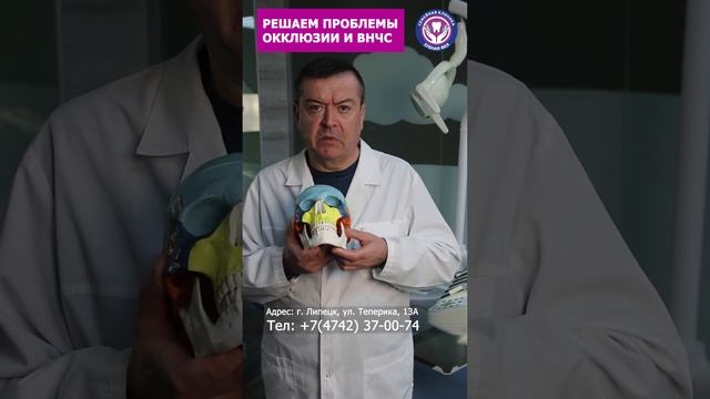 Прикус и осанка. Гнатолог Липецк Александр Хамчишкин смотреть онлайн