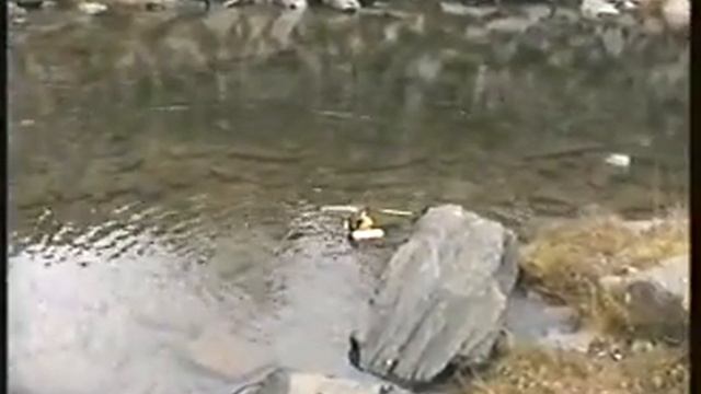 Syma Dragonfly with floats... смотреть онлайн