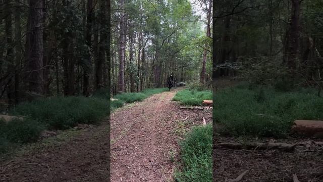 “The Headless Horseman”🎃 смотреть онлайн