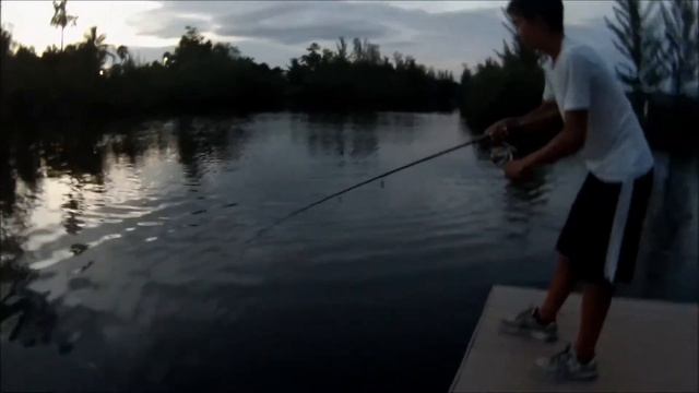 Juvenile Tarpon fishing смотреть онлайн