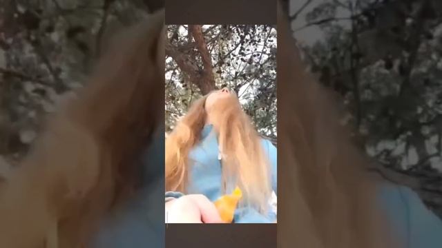 Распаковка sweet box "Чебурашка" 🍊❤️ смотреть онлайн