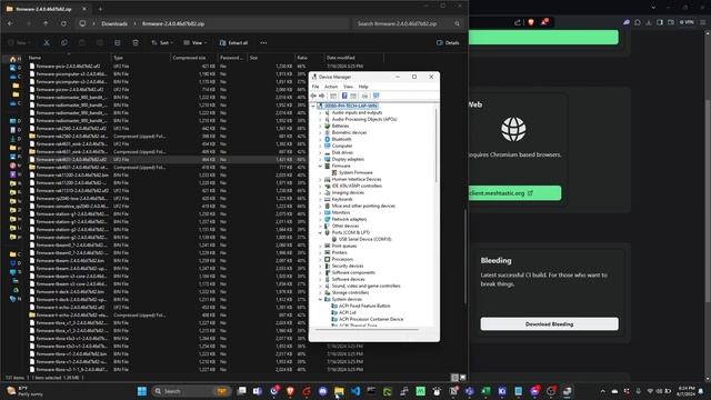 Meshtastic WisBlock RAK4631 NRF Reset FW, Uploading Meshtastic FW And Checking Serial Logs Via Putt