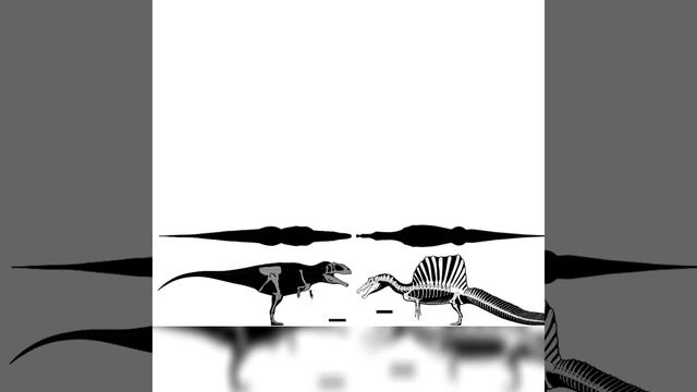 Tyrannotitan And Spinosaurinae Indet Size Comparison смотреть онлайн