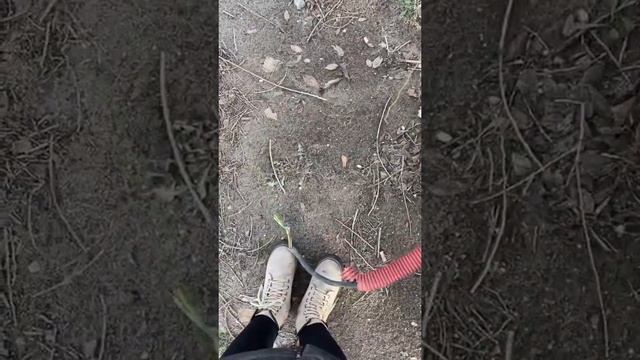 ЗМЕЯ ПОЖИРАТЕЛЬ!!! смотреть онлайн