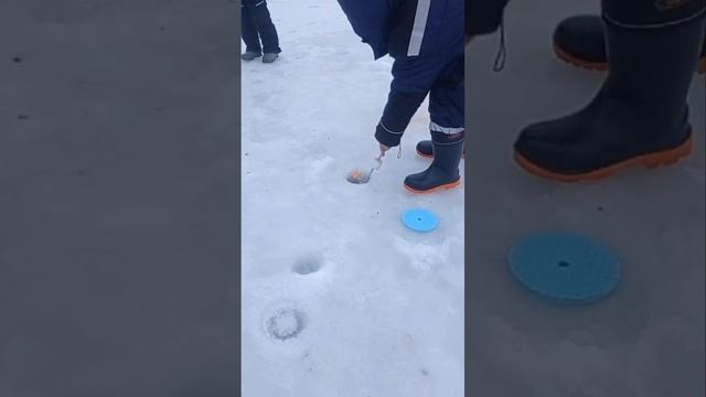 поимки форели смотреть онлайн