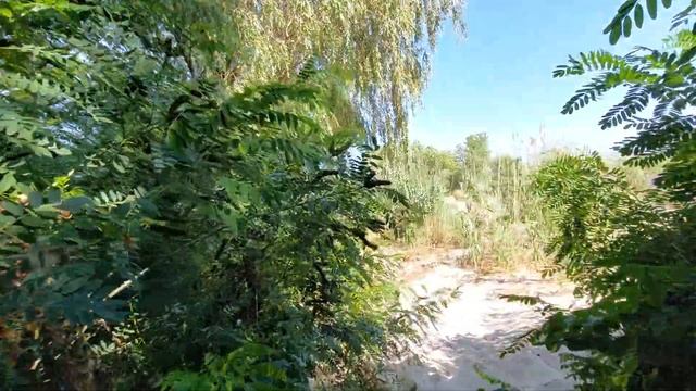 Черкаси. На середині острова. 29.07.2024. смотреть онлайн