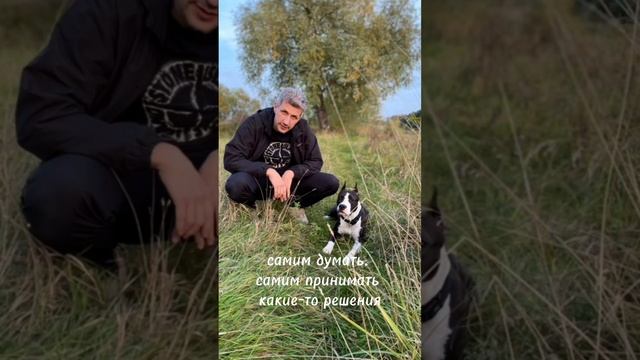 Я ЛЮБЛЮ ЛЮДЕЙ и Я тащусь от моей работы! Я ЛЮБЛЮ мою жизнь, работу, людей, собак, свободу, ... смотреть онлайн