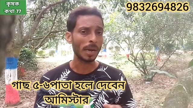 দূর্গাপুজো টার্গেট করে বাজারের সেরা শসা বীজ । ভাদ্র মাসের শসা বীজ। পুজো টার্গেটে ভাদ্র মাসের শসা বী смотреть онлайн