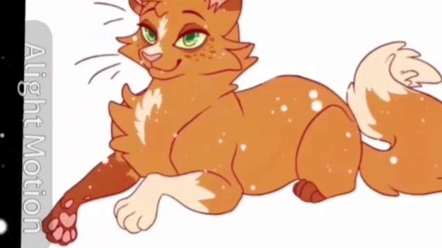 ...+Белка+... смотреть онлайн