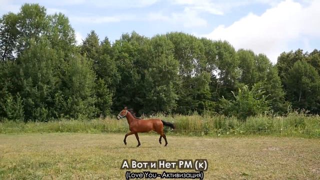 А Вот и Нет РМ (к) смотреть онлайн
