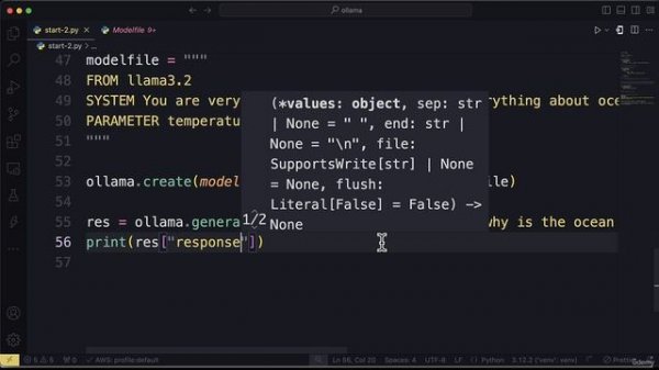 06. Create a Custom Model in Code