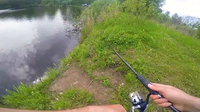 Свимы против воблеров