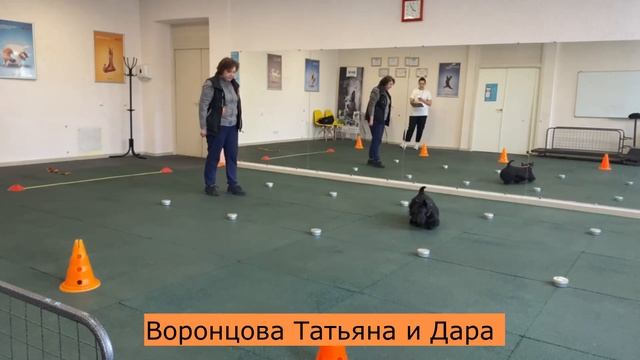 Тестирование по НОУЗВОРК: запах корицы 17.03.2024 смотреть онлайн