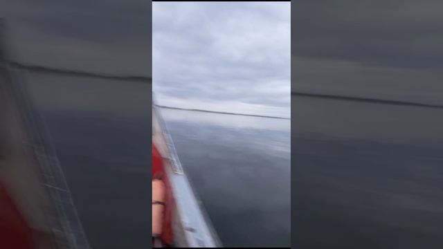 на лодке по Волге 05.01.2025 смотреть онлайн