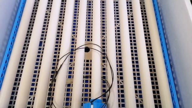 DIY Rolling 280 Eggs Incubator WiFi Technology || Home Made Designed Eggs Incubator 2019 смотреть онлайн