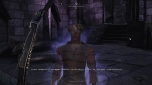 ПУТЬ НОВИЧКА В SKYRIM REFLYEM