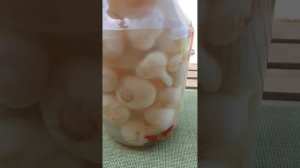 Засолка молодого чеснока.
