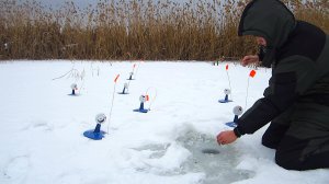 ЖЕРЛИЦЫ СРАБАТЫВАЮТ ОДНА ЗА ДРУГОЙ! Зимняя рыбалка 2025.