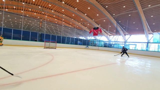 Galaxy S10 plus hockey vlog #48 смотреть онлайн