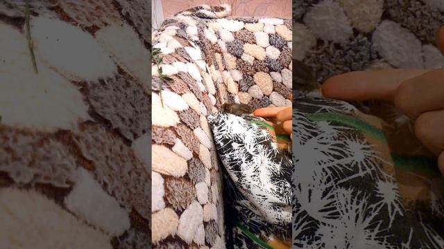 Кушает червячка 🪱 воробей Боня смотреть онлайн