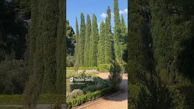 Просто красиво смотреть онлайн