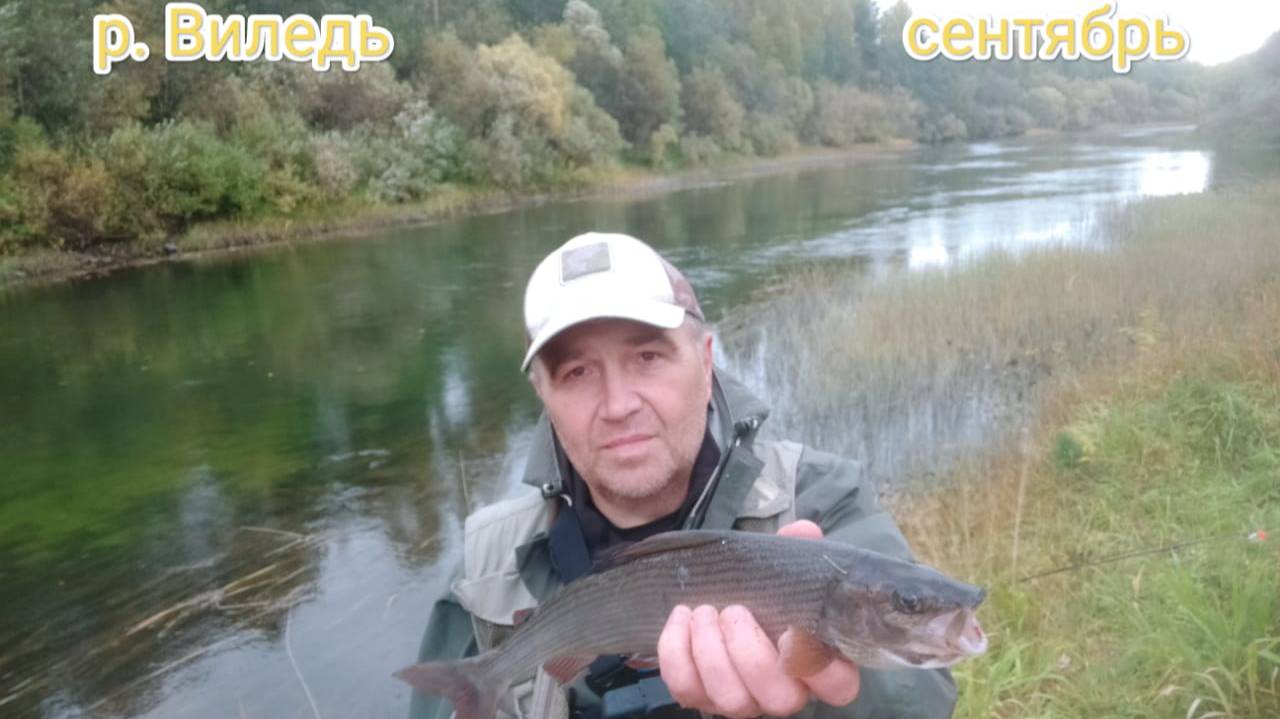 Рыбалка на Виледи. Хариус. смотреть онлайн