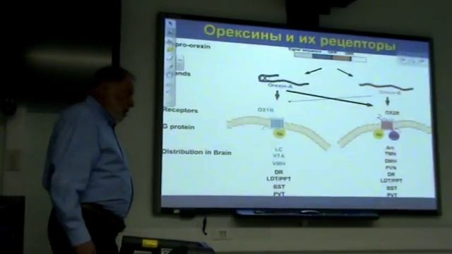 Лекция В.М. Ковальзона 17.03.2015 смотреть онлайн