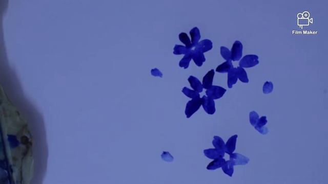 Flowers : water color painting смотреть онлайн