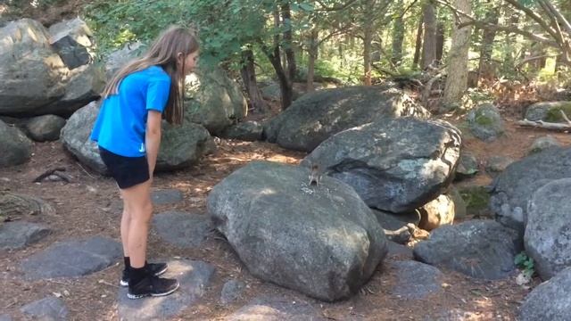 Bentley Girls at Ipswich River with the Chipmunks смотреть онлайн