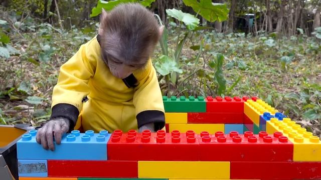 Baby monkey playing with Ice cream vending machine HOT and COLD | Animal orang utan смотреть онлайн