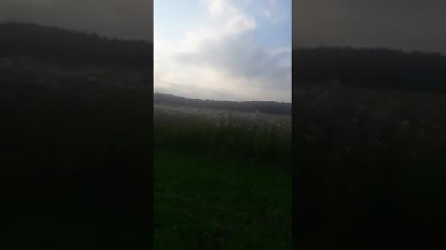 Дастер играет в прятки смотреть онлайн