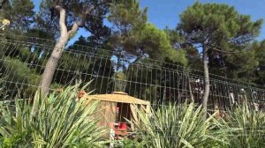 Адлер. Бархатный сезон 2022. Пляж "Чайка" ☼ "Южное Взморье"..