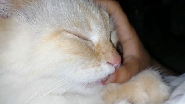 Этому Чуду уже 4года... смотреть онлайн