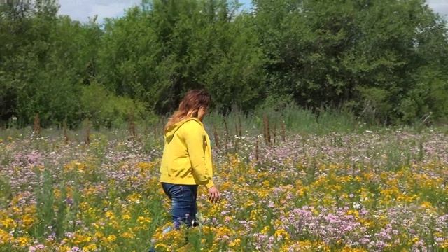 По историческим местам Цимлянского района смотреть онлайн