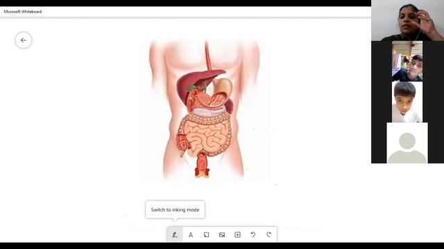 Class 5 # Science # Ls - 21 # Digestive System - part 1# SMART INDIA#ONLINE CLASSES# NAVEENA TEACHE смотреть онлайн