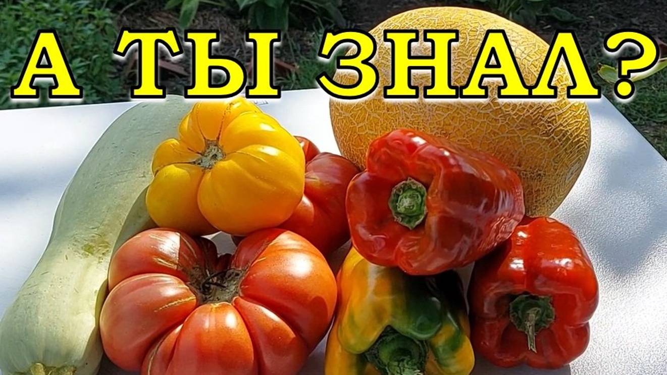 ПЛАН посева ОВОЩЕЙ на 2025 год 🍅🍆🥕🍓🍆 (что и когда) смотреть онлайн